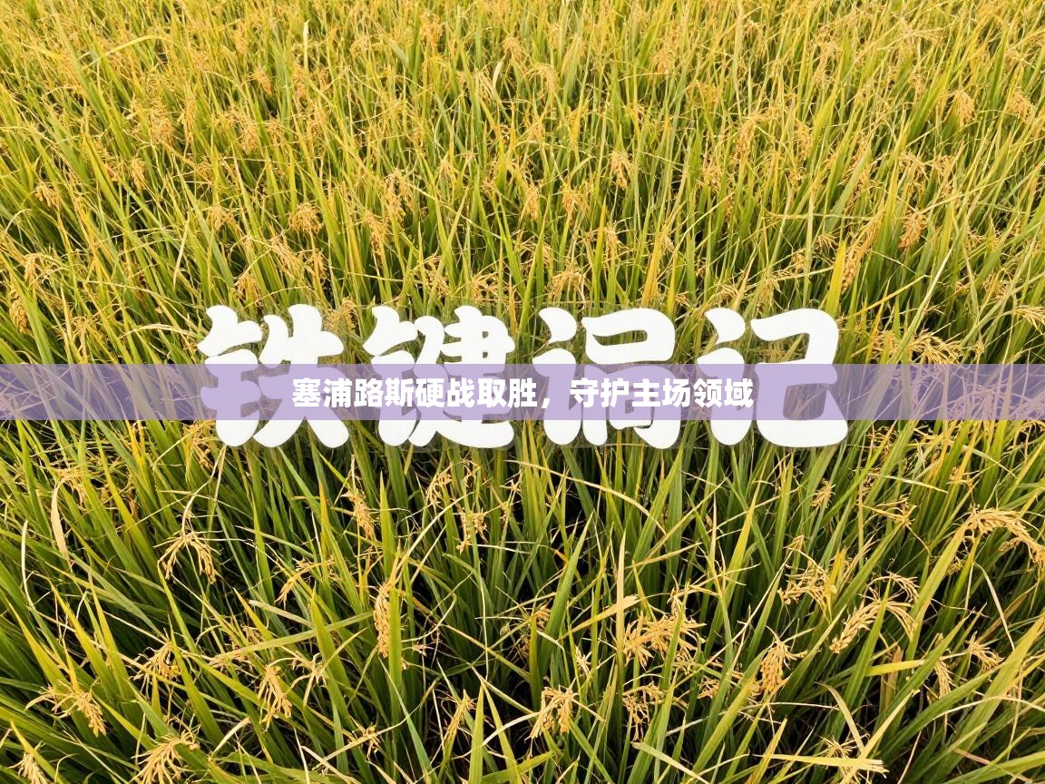 塞浦路斯硬战取胜，守护主场领域