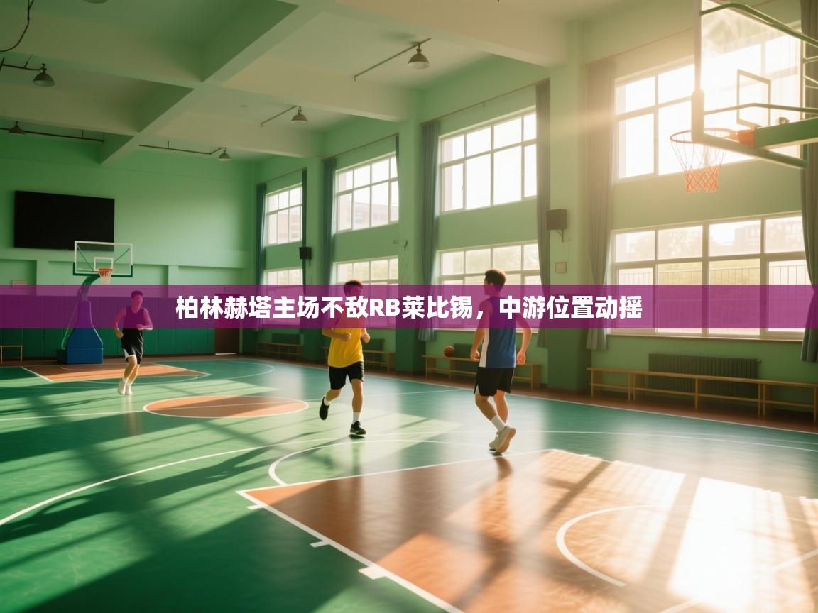 柏林赫塔主场不敌RB莱比锡，中游位置动摇  第2张