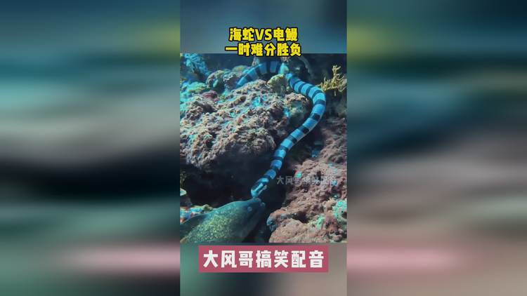 关于胜负难分:女足比赛站点千钧一发的信息 关于胜负难分:女足比赛站点千钧一发的信息