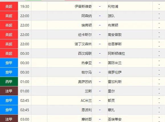 九游体育官网入口-阿森纳主场不敌狼队，战绩再遭打击